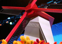 tulip garden and windmill