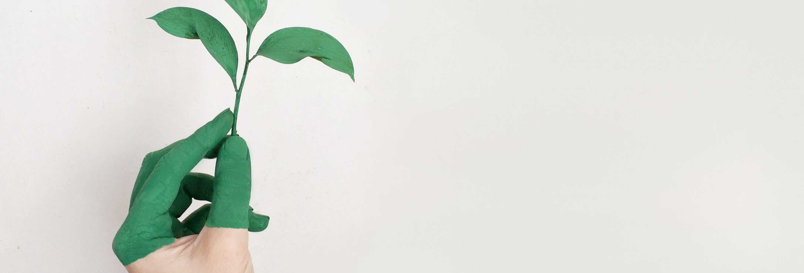 art-close-up-ecology-886521
