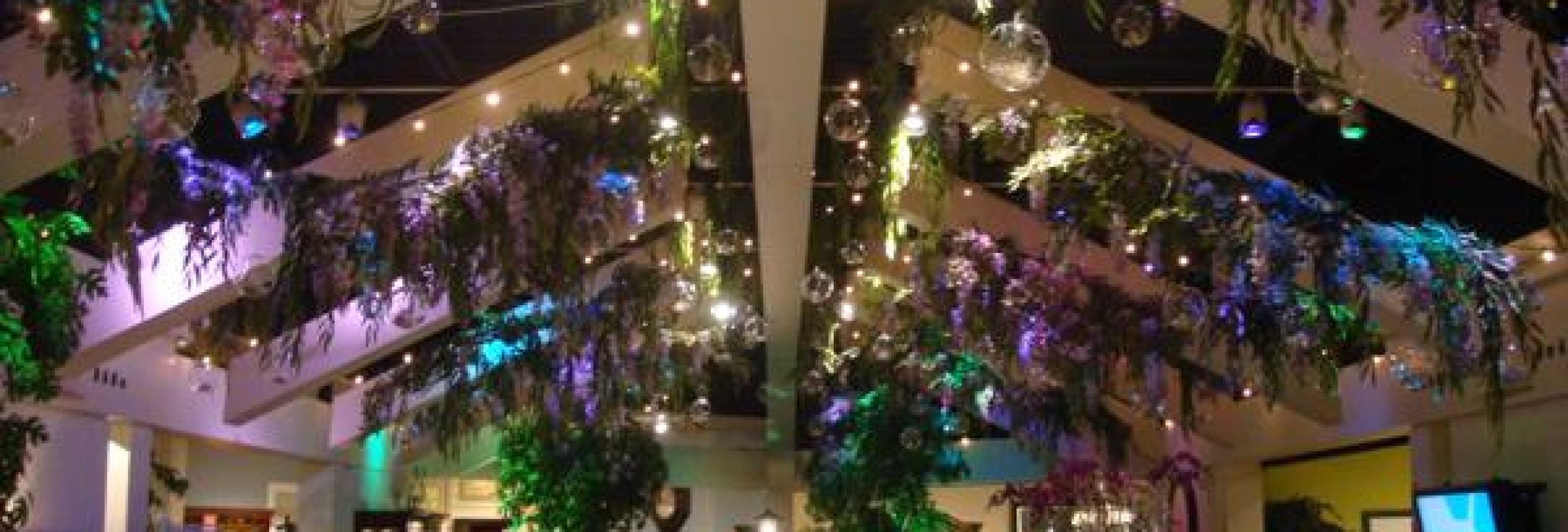 hanging-plants-with-playful-lighting