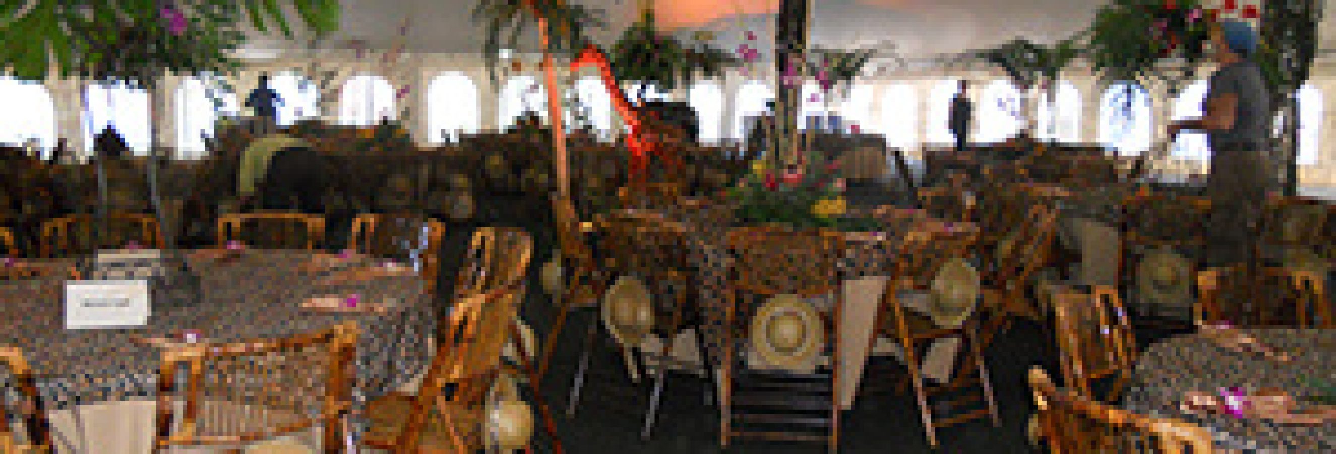 tropical-jungle-theme-decor